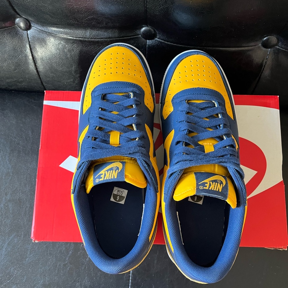 Nike Terminator Low ‘Michigan’ - Picture 4 of 8